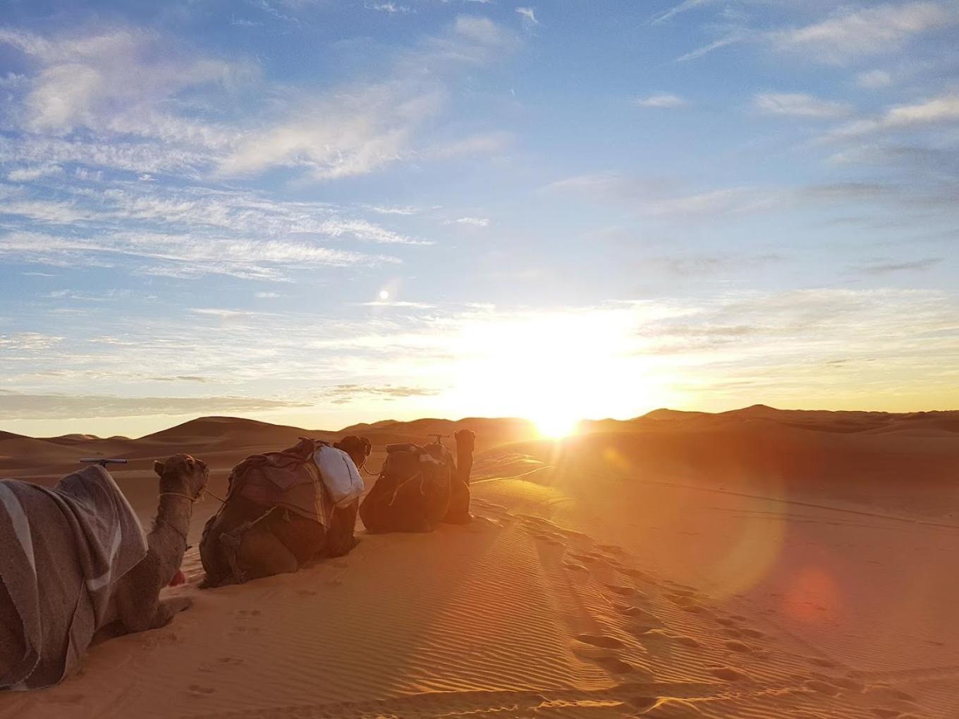 Les Roches Desert Camp เมอร์ซูกา ภายนอก รูปภาพ